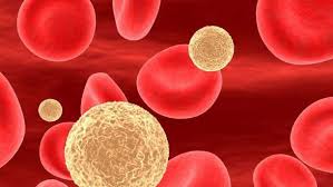 ЩО ТАКЕ ХОЛЕСТЕРИН ТА ЯК ЙОГО КОНТРОЛЮВАТИ?