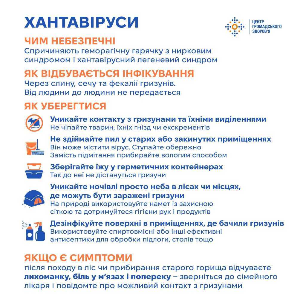 Хантавірусні інфекції: що це і як уберегтися